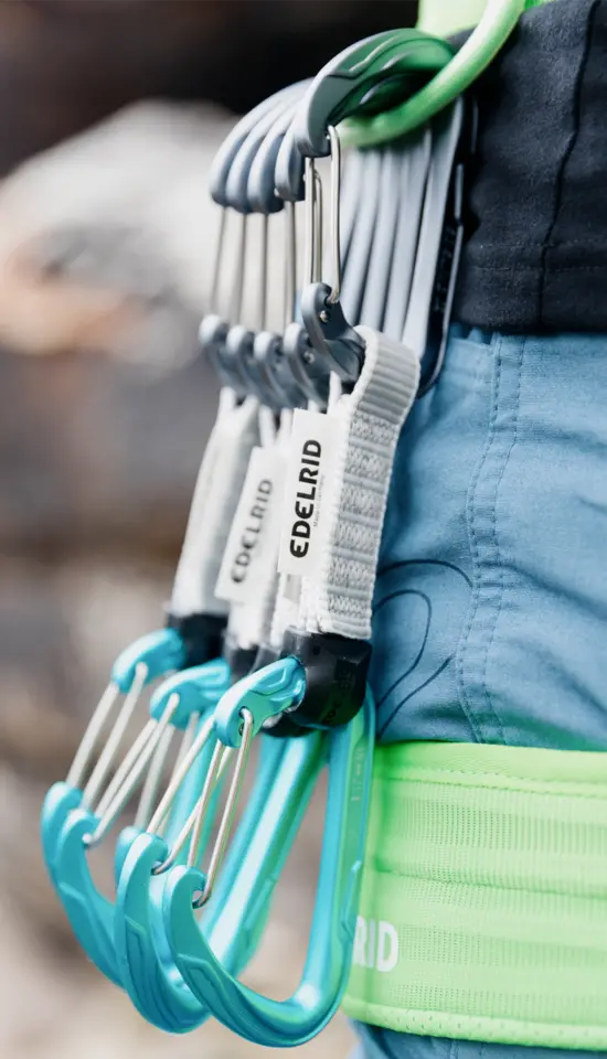 Edelrid - Musketon - Pure wire set sixpack
