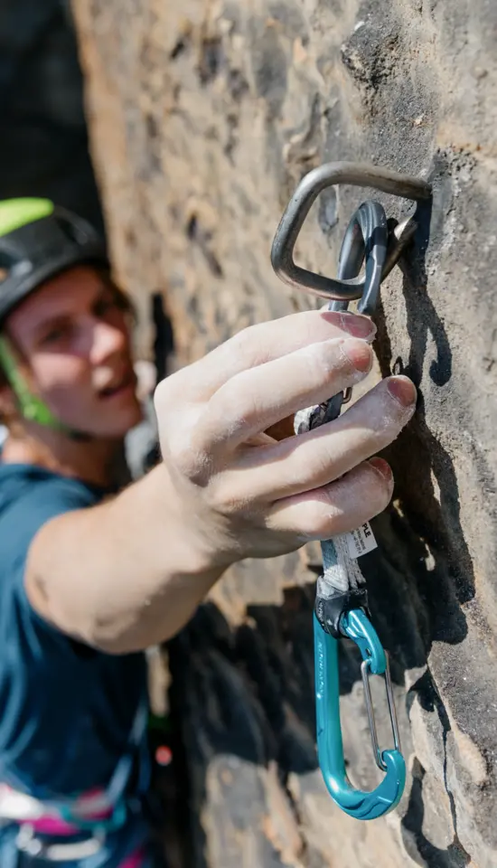 Edelrid - Musketon - Pure wire set sixpack