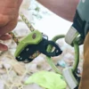 Edelrid - Pinch